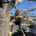 Greta Climbing Aunt Amys Tree